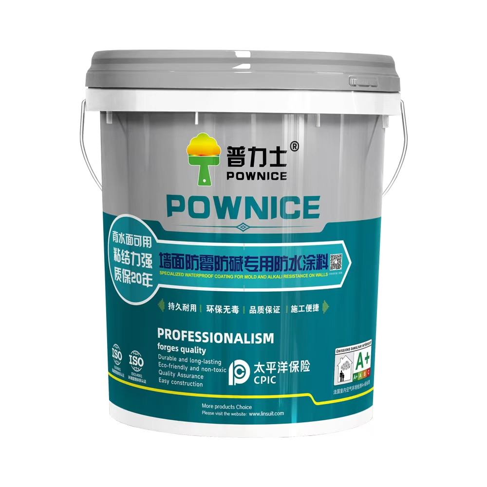Anti-Mold & Anti-Alkali Wall Waterproof Coating